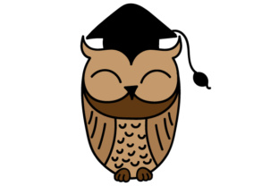 Graduation Owl Crafts for School Amp Merch